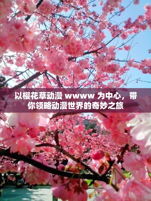 以樱花草动漫 wwww 为中心，带你领略动漫世界的奇妙之旅