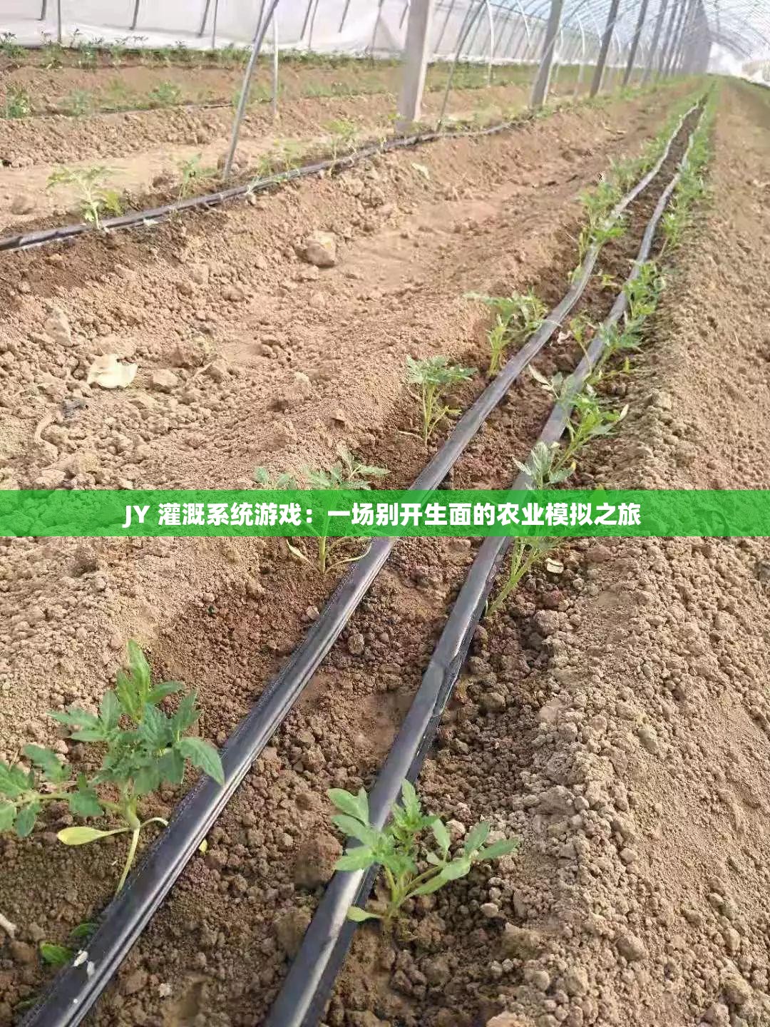 JY 灌溉系统游戏：一场别开生面的农业模拟之旅