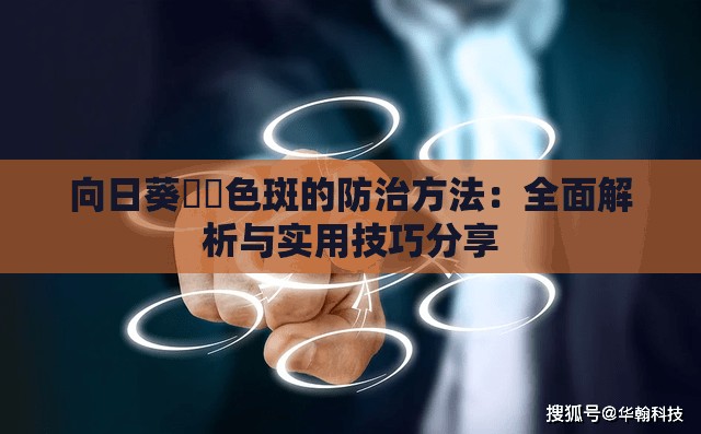 向日葵卍卍色斑的防治方法：全面解析与实用技巧分享