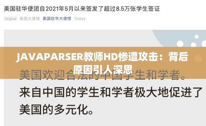 JAVAPARSER教师HD惨遭攻击：背后原因引人深思