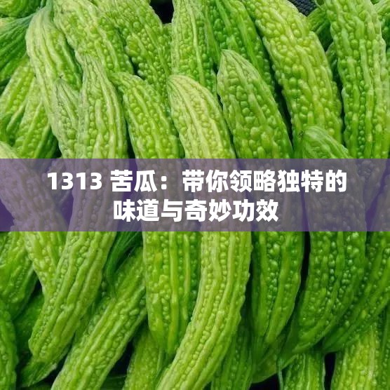 1313 苦瓜：带你领略独特的味道与奇妙功效