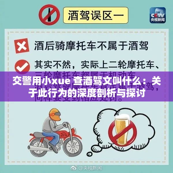 交警用小xue 查酒驾文叫什么：关于此行为的深度剖析与探讨