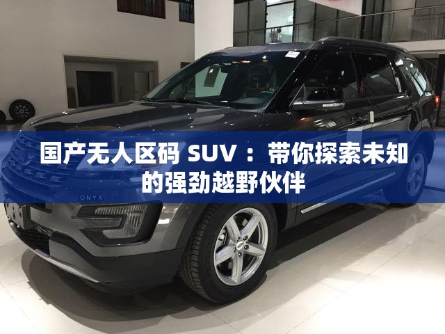 国产无人区码 SUV ：带你探索未知的强劲越野伙伴