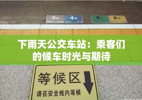 下雨天公交车站：乘客们的候车时光与期待