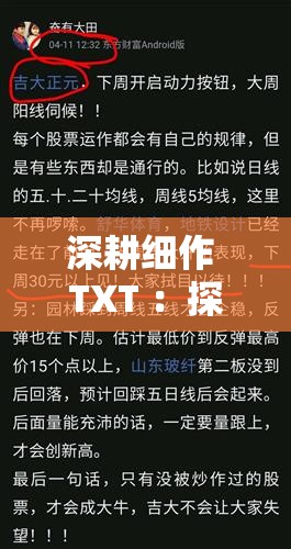 深耕细作 TXT ：探索文字背后的深度与精细之美