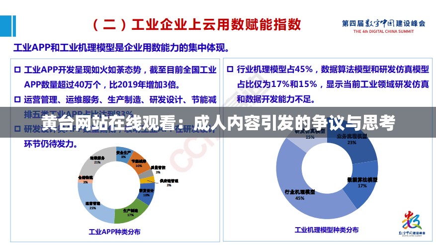 黄台网站在线观看：成人内容引发的争议与思考