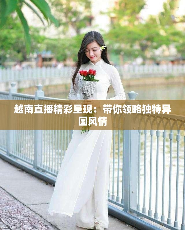 越南直播精彩呈现：带你领略独特异国风情