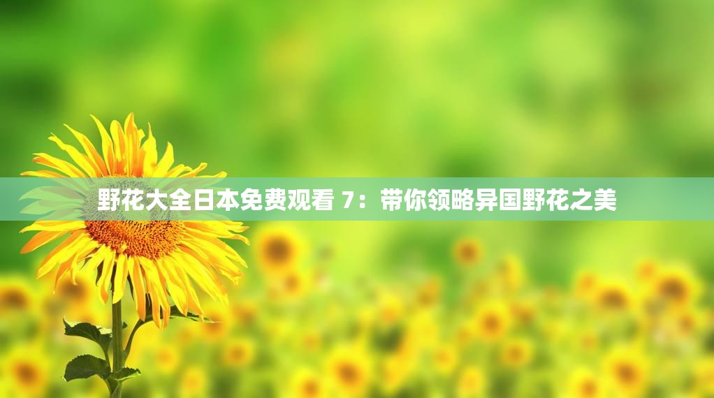 野花大全日本免费观看 7：带你领略异国野花之美