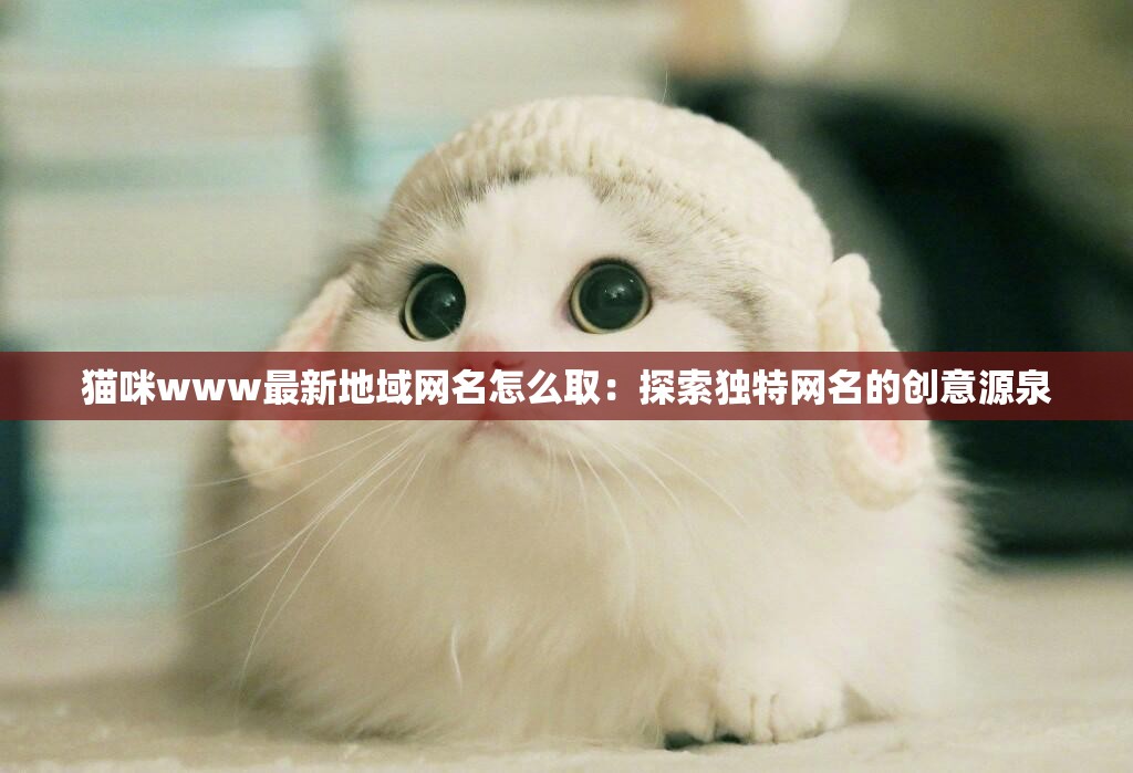 猫咪www最新地域网名怎么取：探索独特网名的创意源泉