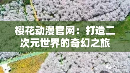 樱花动漫官网：打造二次元世界的奇幻之旅