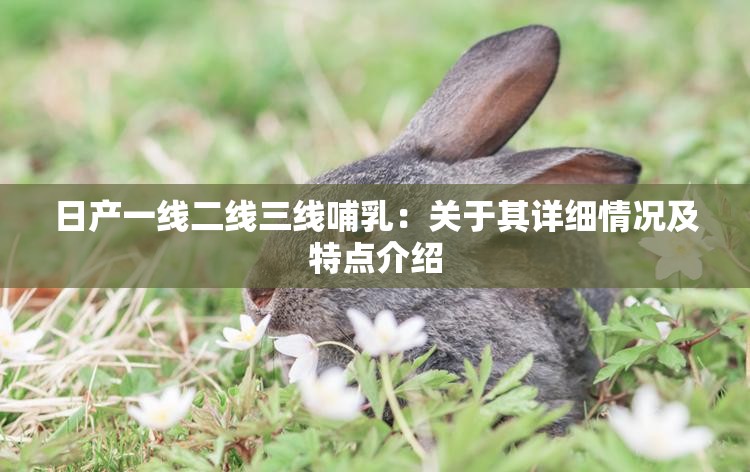 日产一线二线三线哺乳：关于其详细情况及特点介绍