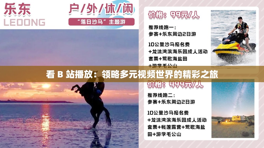 看 B 站播放：领略多元视频世界的精彩之旅