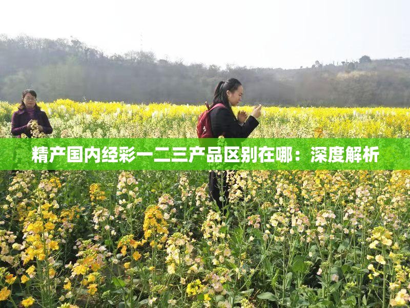 精产国内经彩一二三产品区别在哪：深度解析