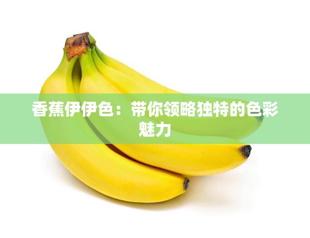 香蕉伊伊色：带你领略独特的色彩魅力