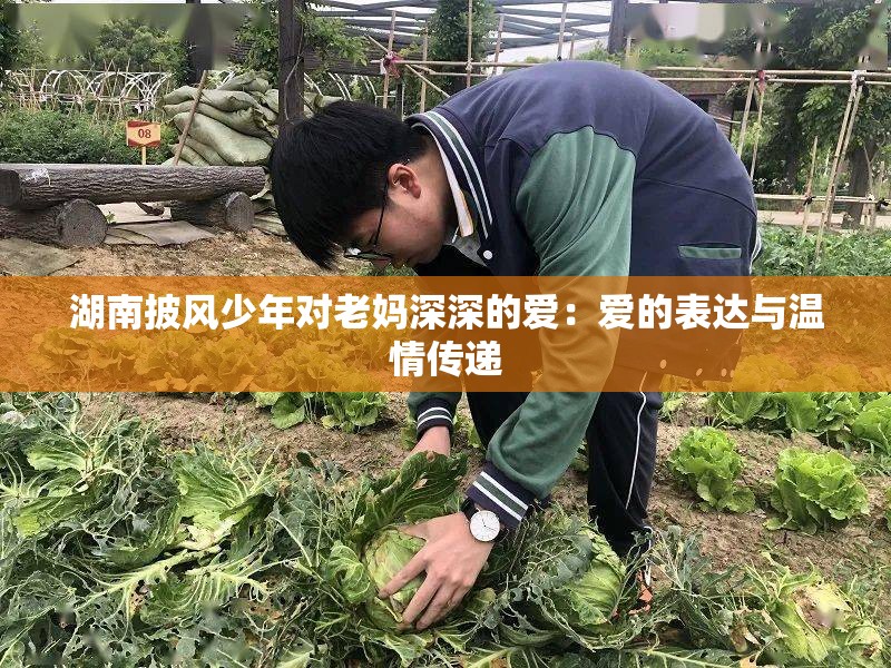 湖南披风少年对老妈深深的爱：爱的表达与温情传递