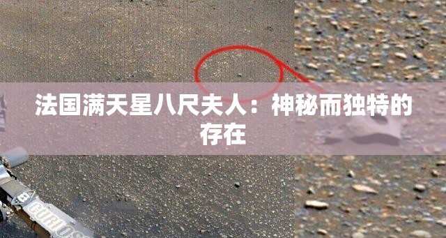 法国满天星八尺夫人：神秘而独特的存在