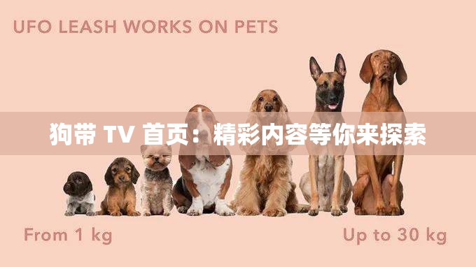 狗带 TV 首页：精彩内容等你来探索