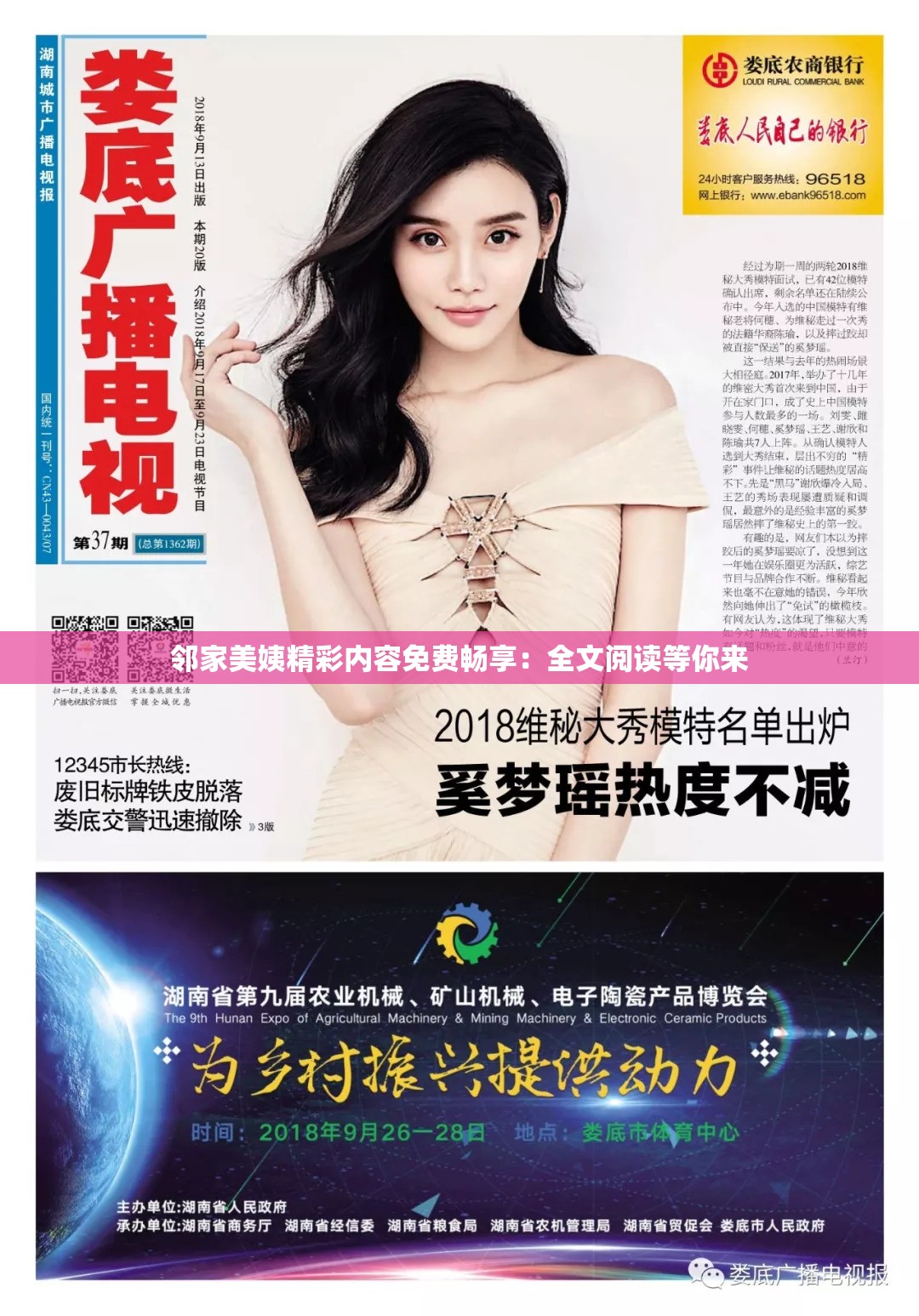 邻家美姨精彩内容免费畅享：全文阅读等你来