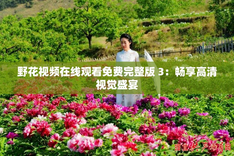 野花视频在线观看免费完整版 3：畅享高清视觉盛宴
