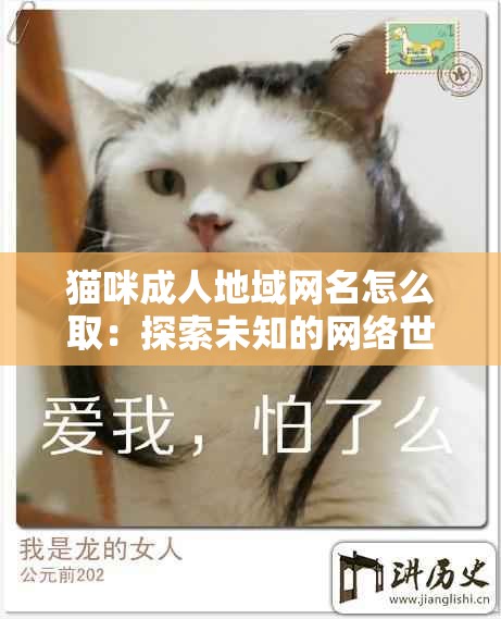 猫咪成人地域网名怎么取：探索未知的网络世界