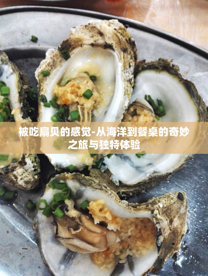 被吃扇贝的感觉-从海洋到餐桌的奇妙之旅与独特体验