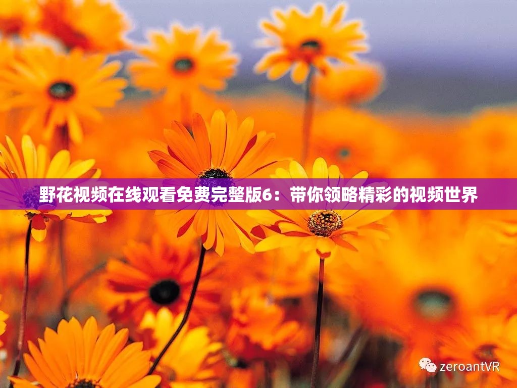 野花视频在线观看免费完整版6：带你领略精彩的视频世界