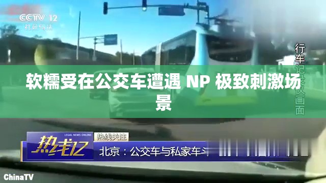软糯受在公交车遭遇 NP 极致刺激场景
