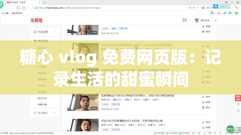 糖心 vlog 免费网页版：记录生活的甜蜜瞬间
