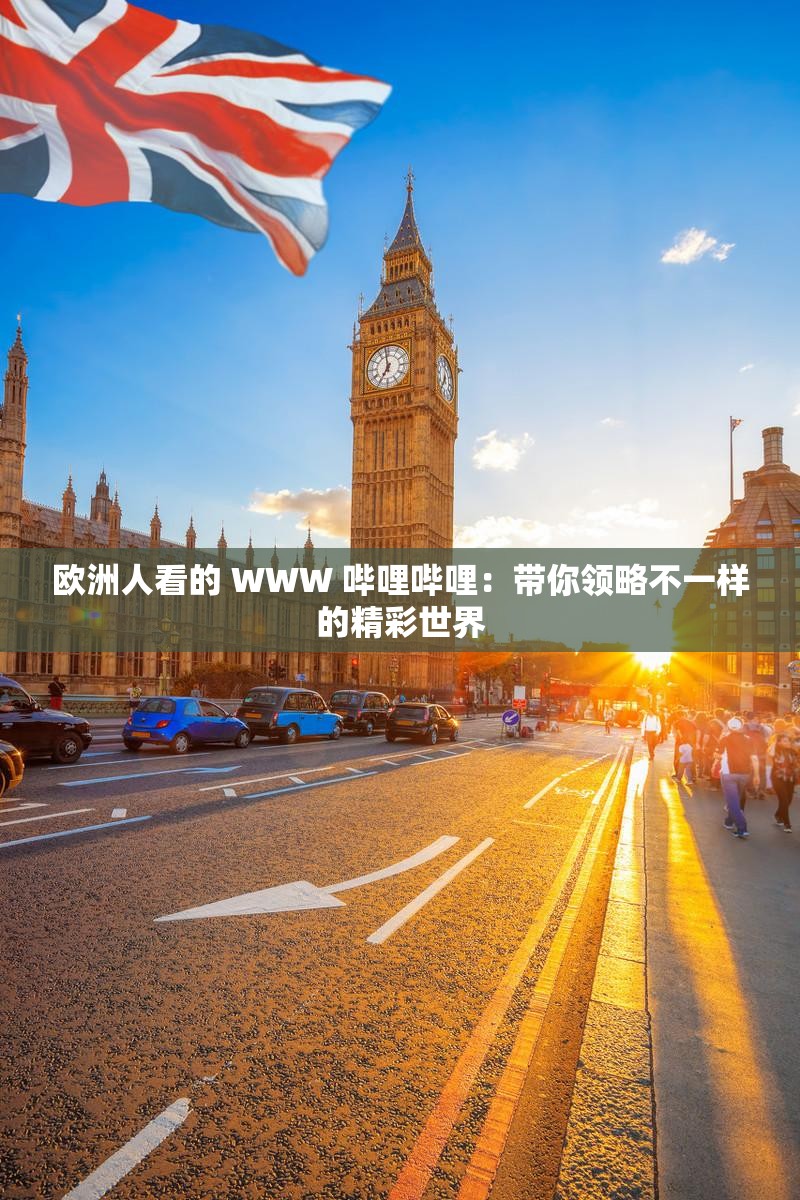 欧洲人看的 WWW 哔哩哔哩：带你领略不一样的精彩世界