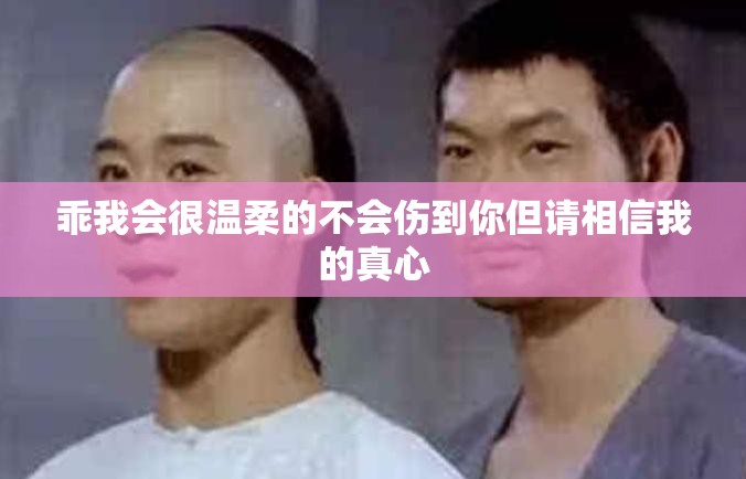 乖我会很温柔的不会伤到你但请相信我的真心