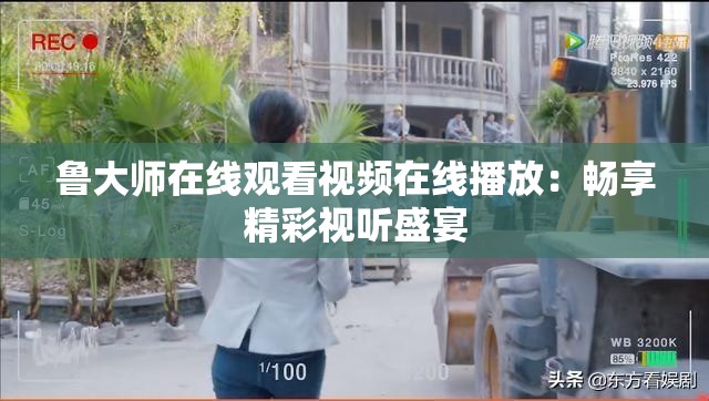 鲁大师在线观看视频在线播放：畅享精彩视听盛宴