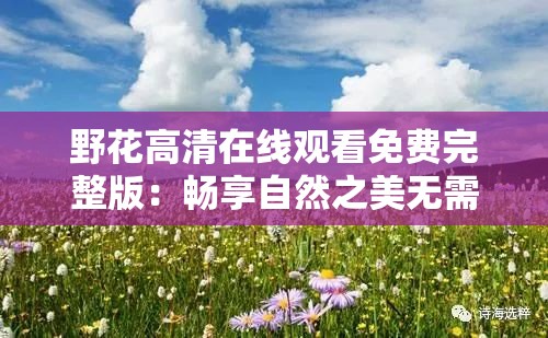 野花高清在线观看免费完整版：畅享自然之美无需付费