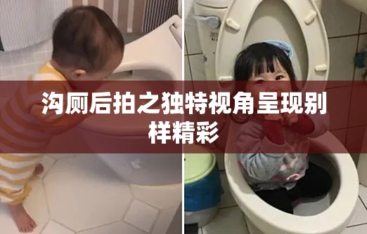 沟厕后拍之独特视角呈现别样精彩