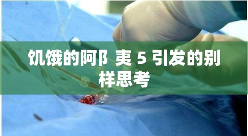 饥饿的阿阝夷 5 引发的别样思考