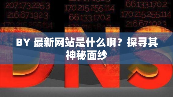BY 最新网站是什么啊？探寻其神秘面纱