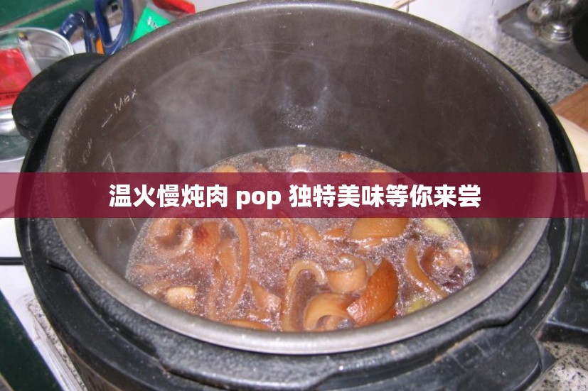 温火慢炖肉 pop 独特美味等你来尝