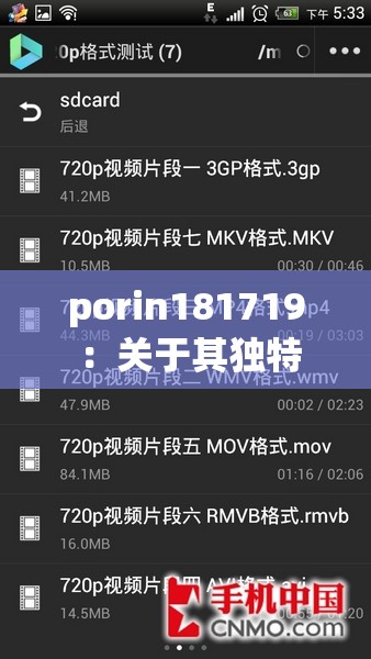 porin181719 ：关于其独特性质与应用的深度探索