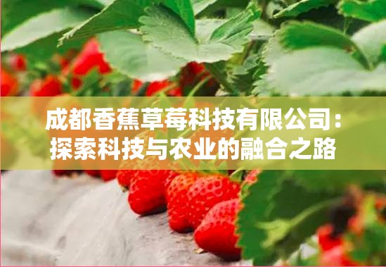 成都香蕉草莓科技有限公司：探索科技与农业的融合之路