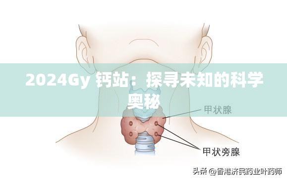 2024Gy 钙站：探寻未知的科学奥秘