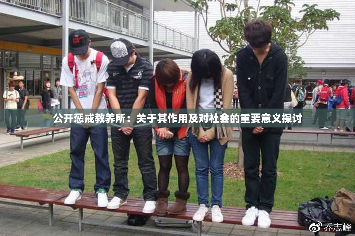 公开惩戒教养所：关于其作用及对社会的重要意义探讨