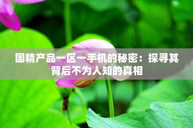 国精产品一区一手机的秘密：探寻其背后不为人知的真相