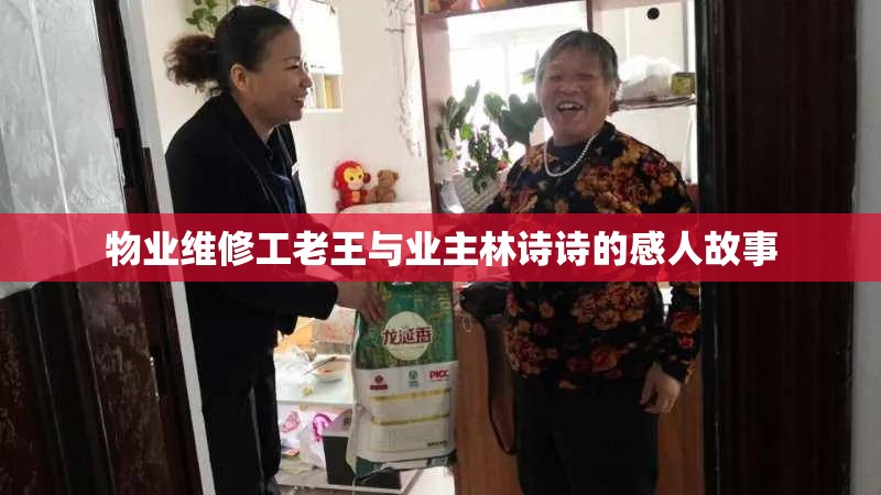 物业维修工老王与业主林诗诗的感人故事