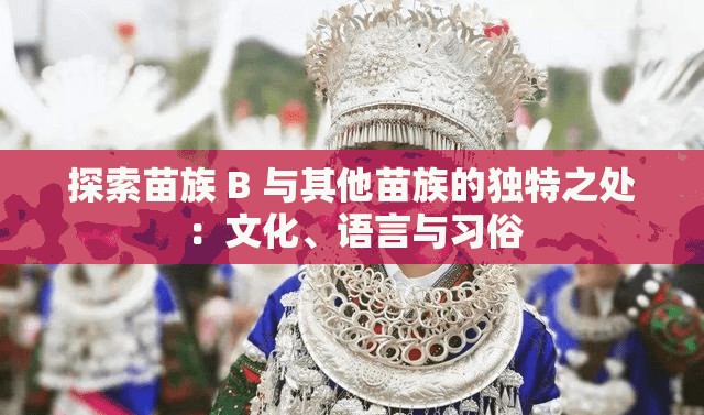 探索苗族 B 与其他苗族的独特之处：文化、语言与习俗
