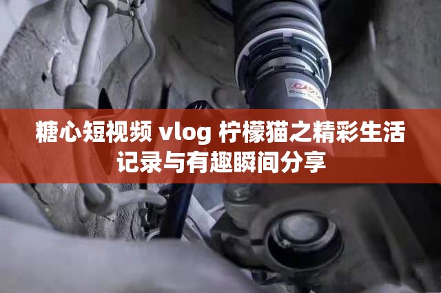 糖心短视频 vlog 柠檬猫之精彩生活记录与有趣瞬间分享
