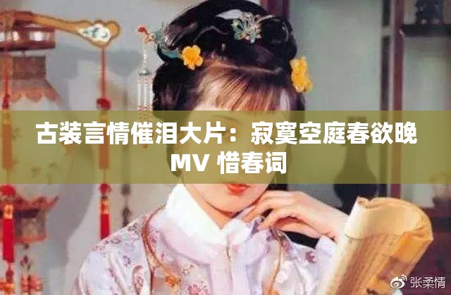 古装言情催泪大片：寂寞空庭春欲晚 MV 惜春词