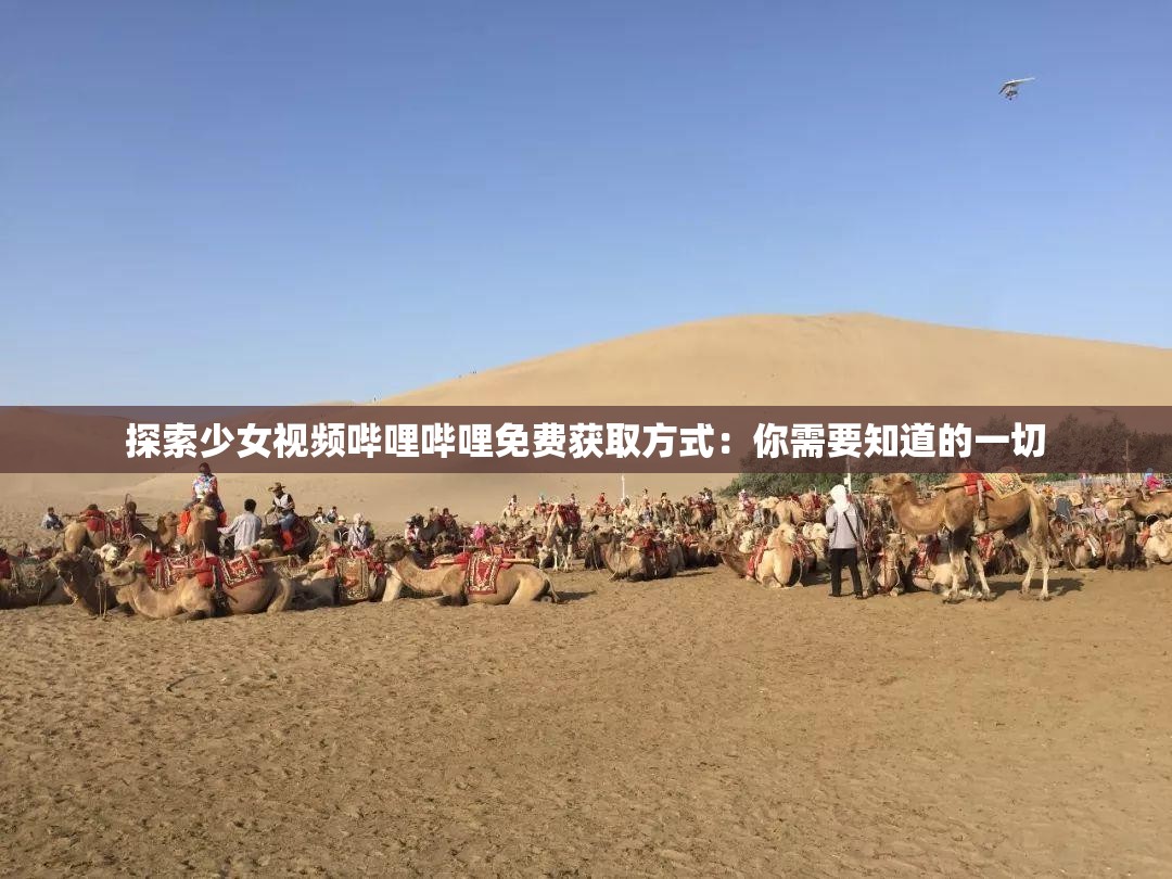 探索少女视频哔哩哔哩免费获取方式：你需要知道的一切