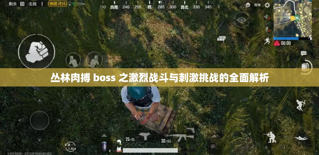 丛林肉搏 boss 之激烈战斗与刺激挑战的全面解析