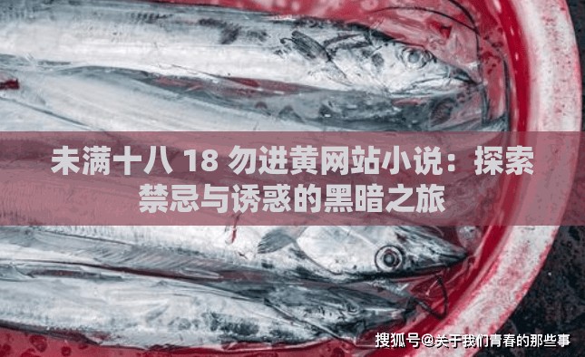 未满十八 18 勿进黄网站小说：探索禁忌与诱惑的黑暗之旅
