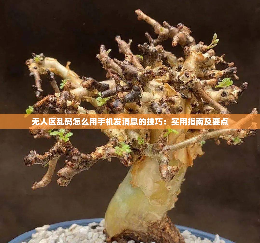 无人区乱码怎么用手机发消息的技巧：实用指南及要点