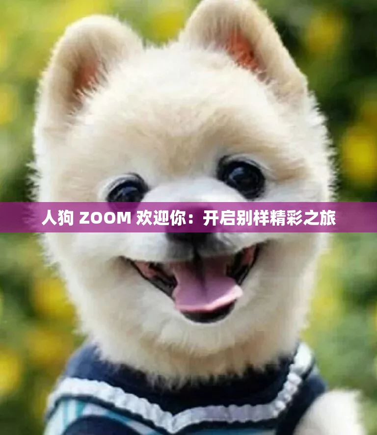 人狗 ZOOM 欢迎你：开启别样精彩之旅